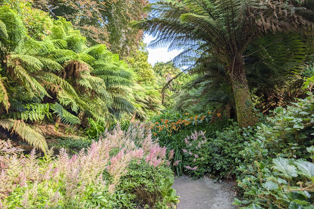 Trebah Water Garden