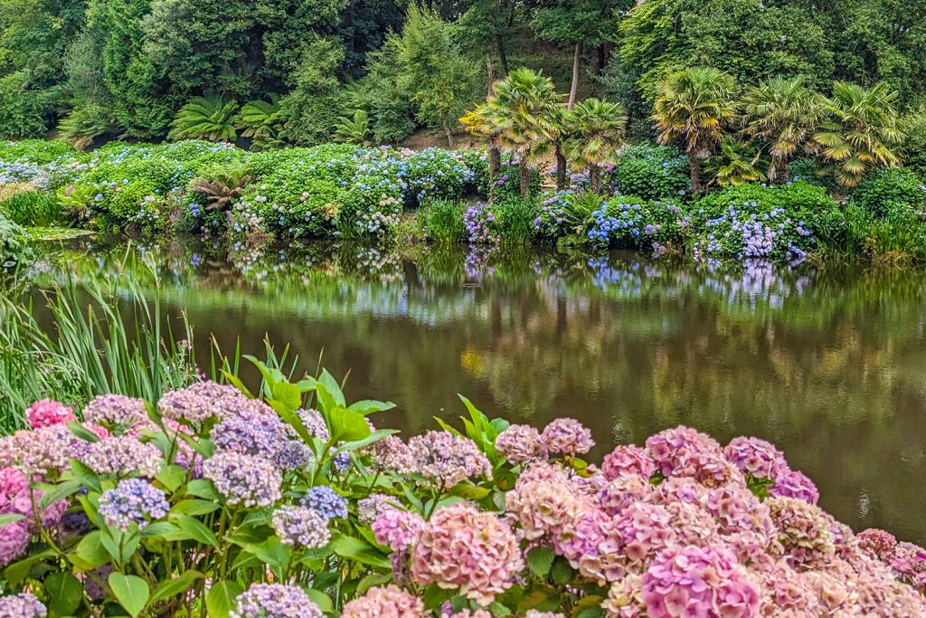 Trebah Garden in August