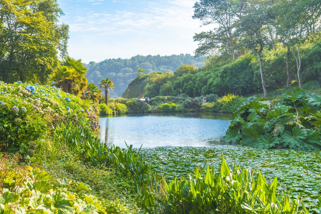 Trebah Garden in September