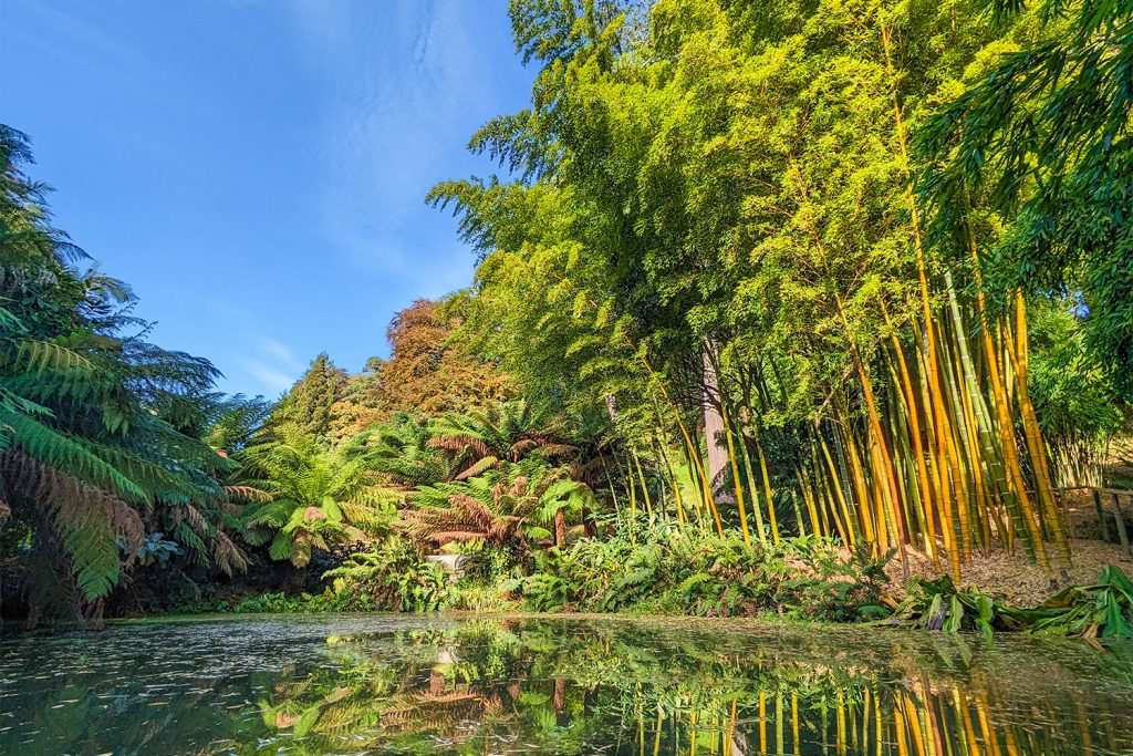 Trebah Garden in October