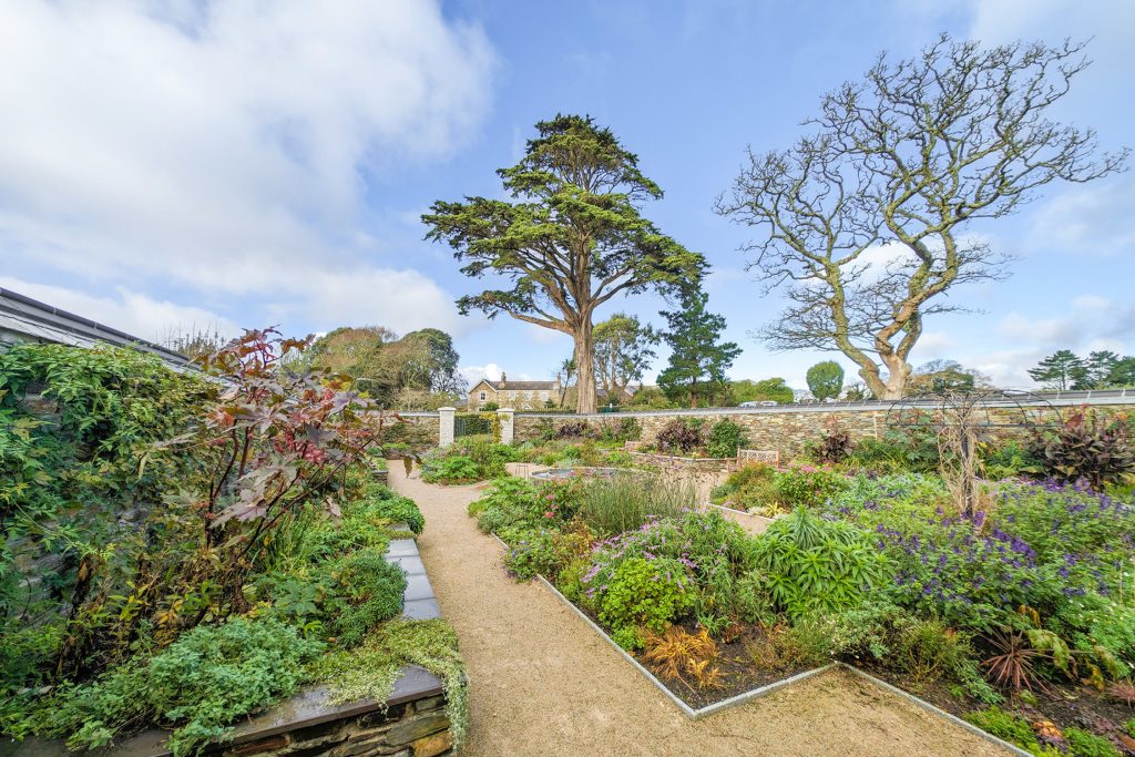 trebah court garden in autumn