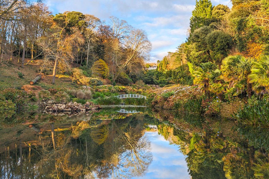 Trebah Garden in December