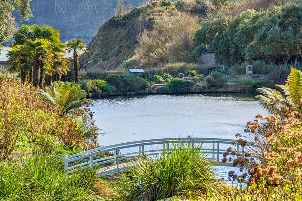 Trebah Garden in March