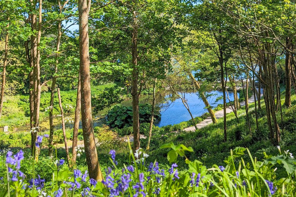Trebah Garden in May