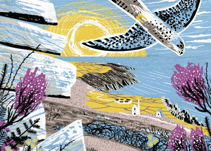 Artwork by Matt Johnson