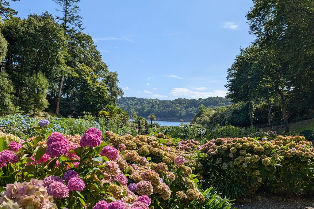 Trebah Garden in September
