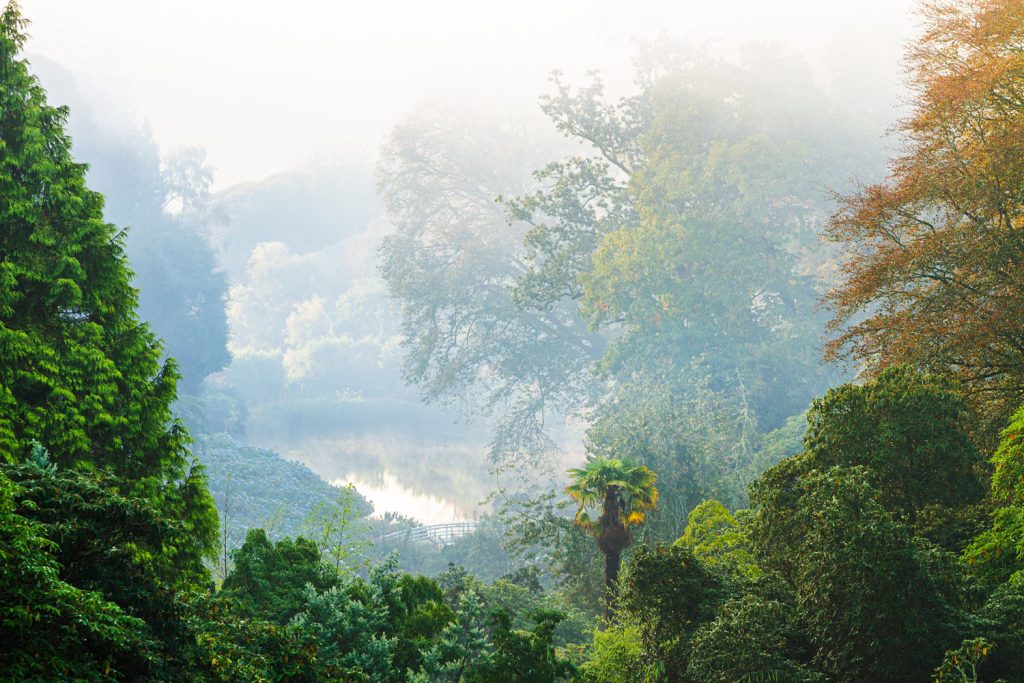 Misty autumn valley view at trebah