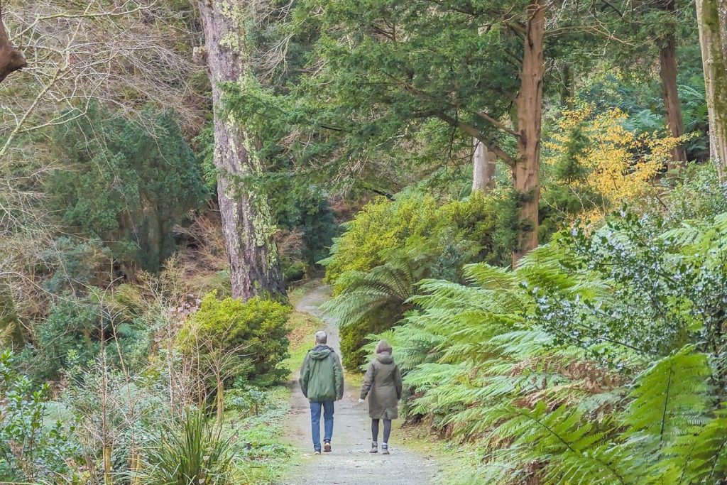 Couple walking in trebah in winter