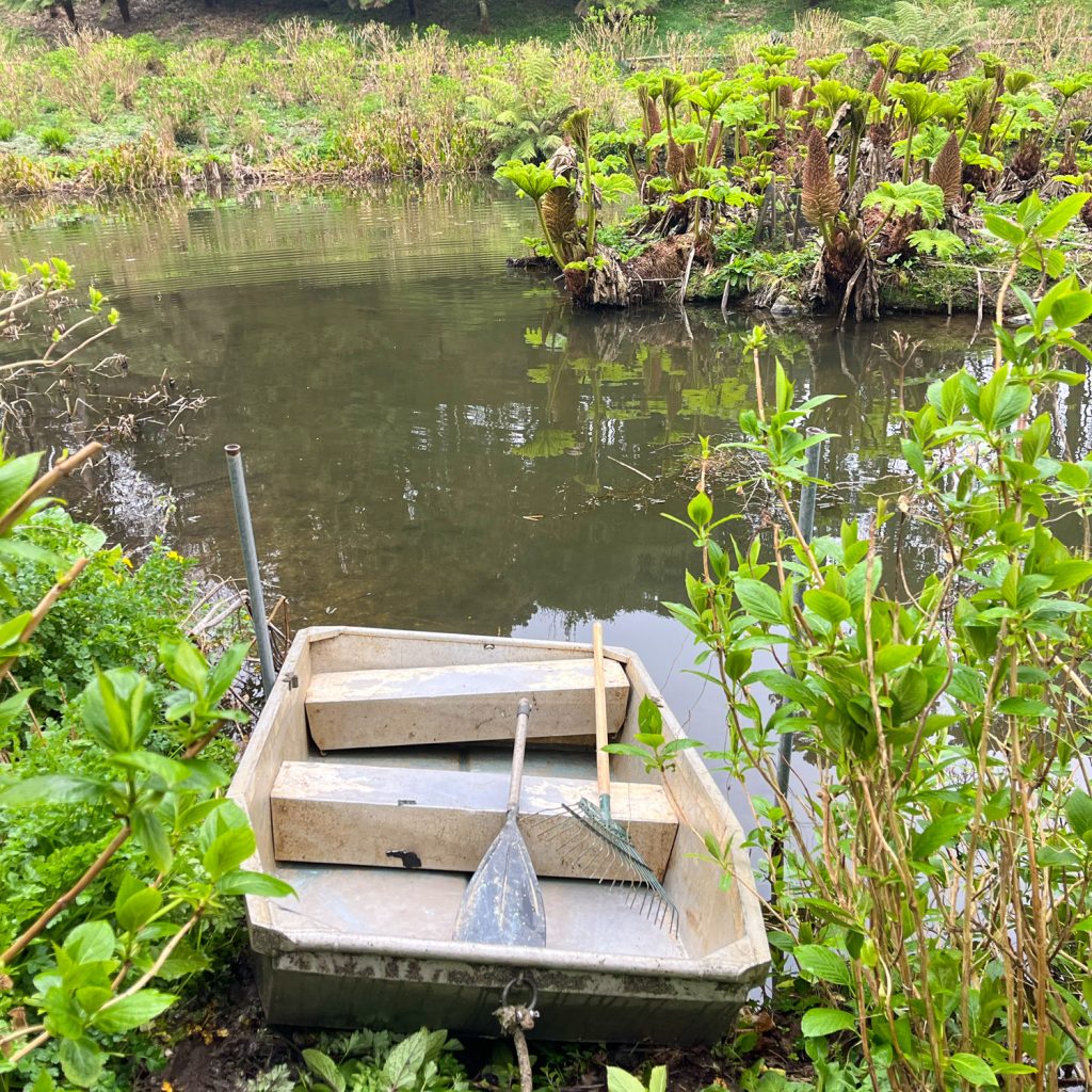 Boat at Mallard Pond, Trebah