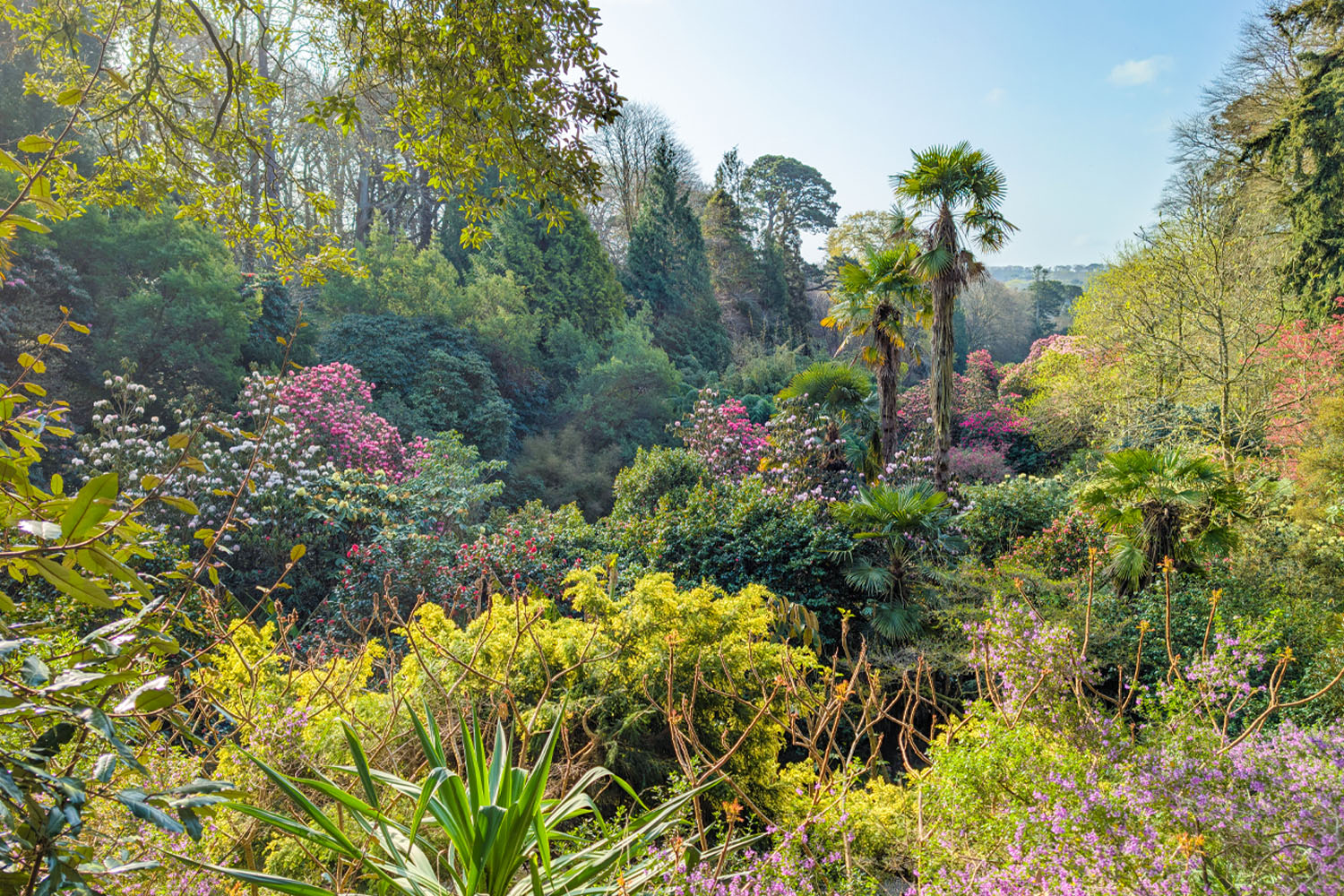 Trebah Garden in April