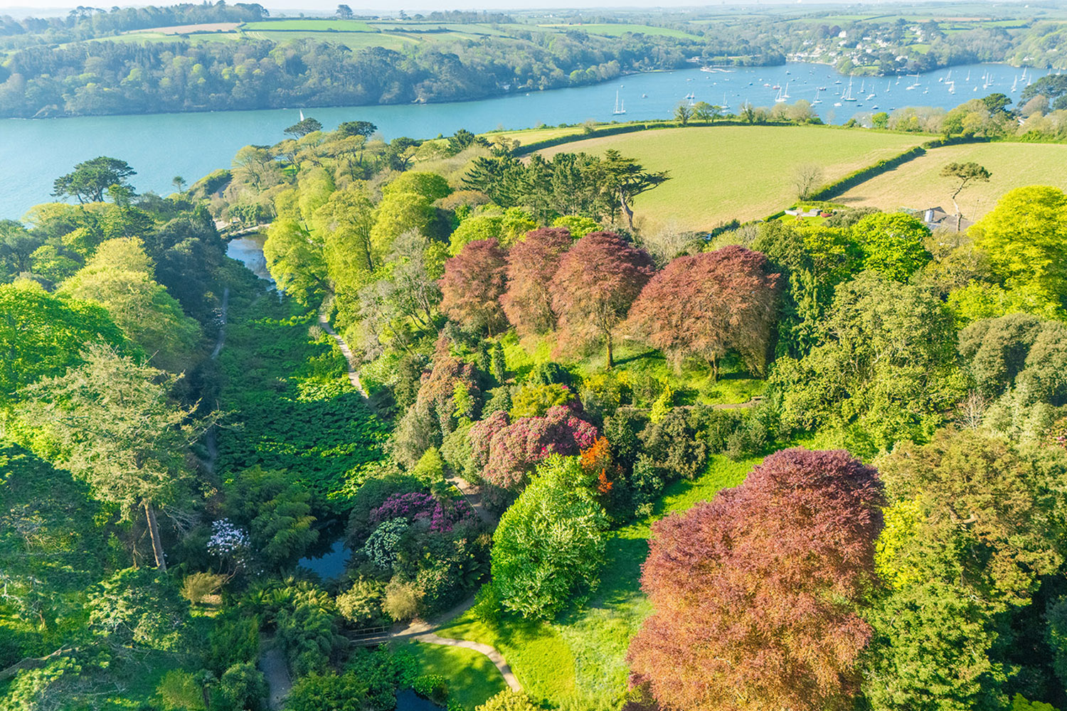Trebah Garden in May