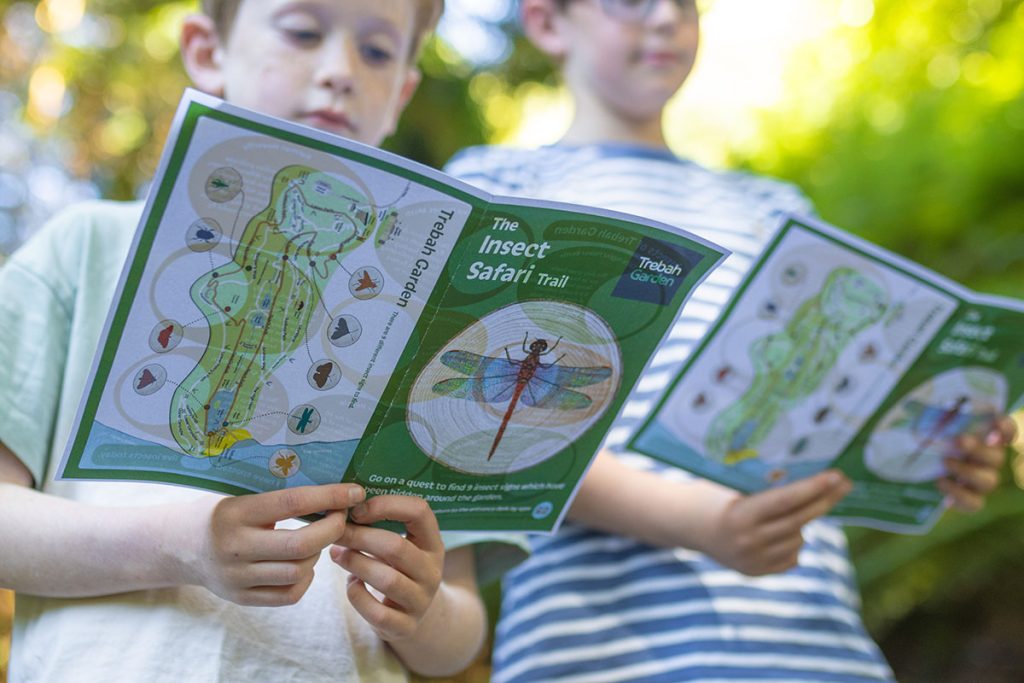 Children doing the Insect Safari Garden Trail At Trebah