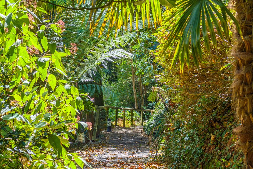 Trebah Garden in September
