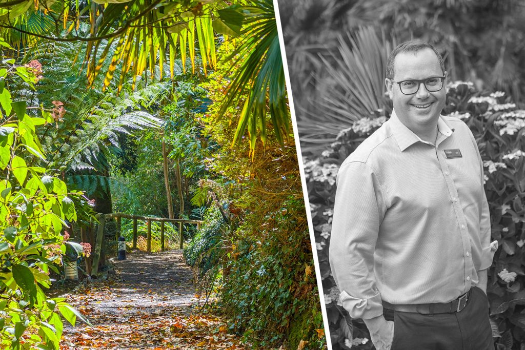 Trebah CEO Jon Cummins and a sunlight path at Trebah
