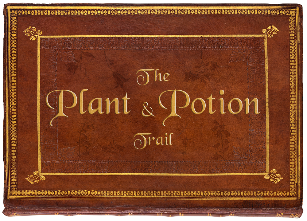Trebah Plant and Potion trail promo image
