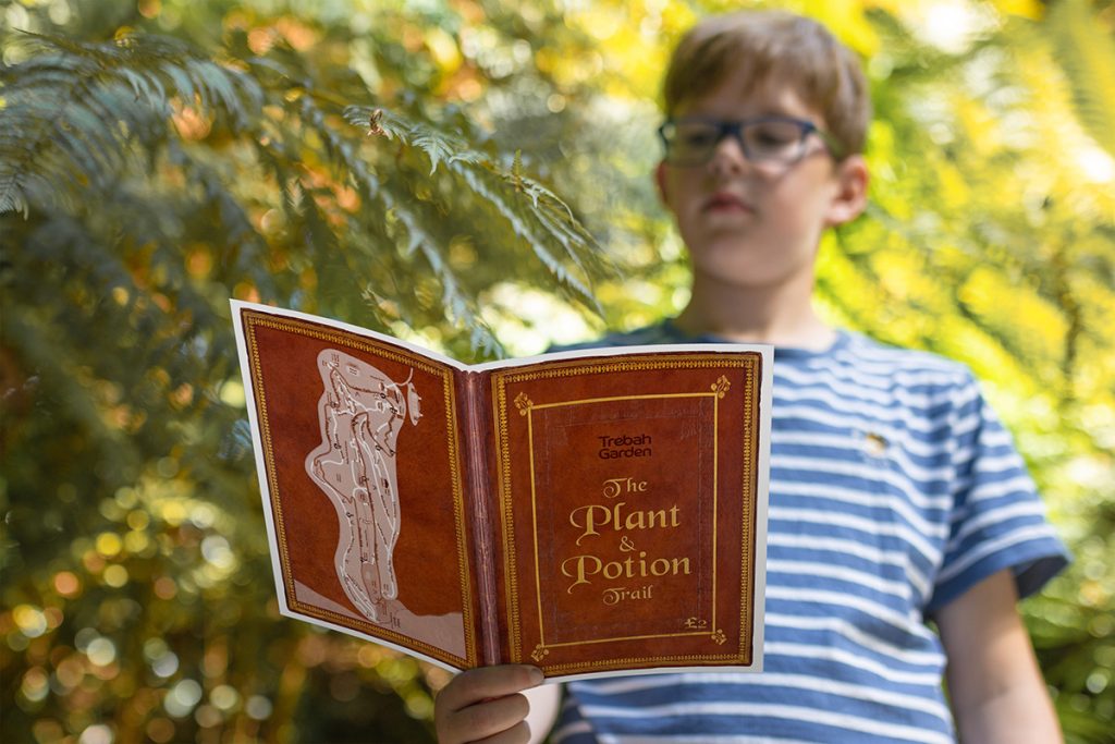 Boy stood under a tree fern holding a trebah trail sheet