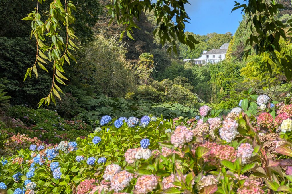 Trebah Garden in October