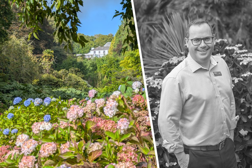 Trebah garden hydrangeas and ceo jon cummins