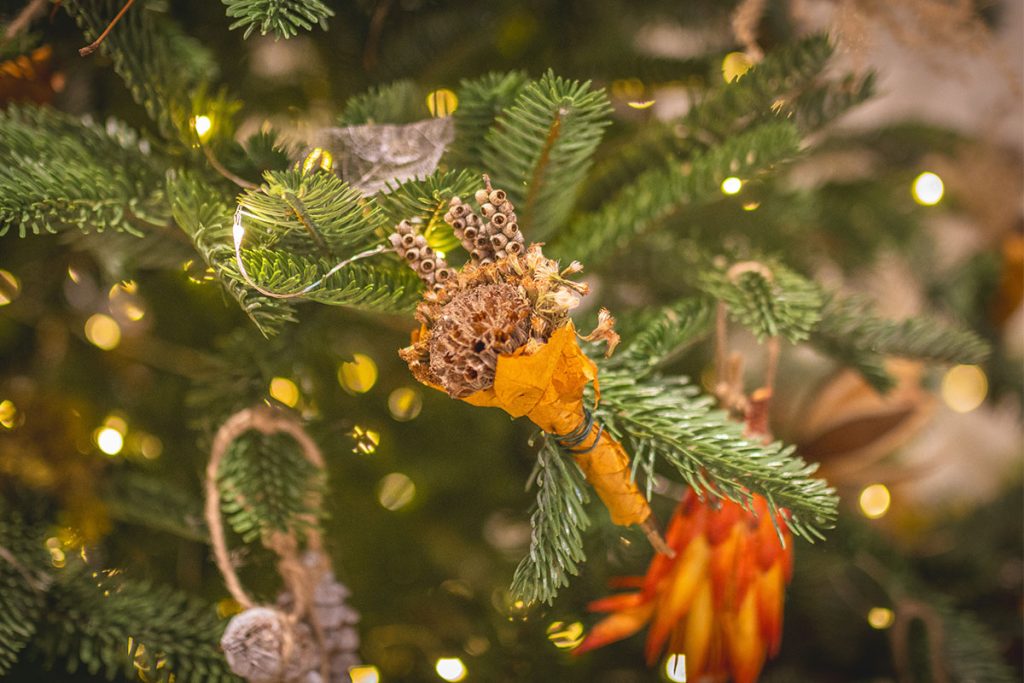 Botanical christmas decoration workshop