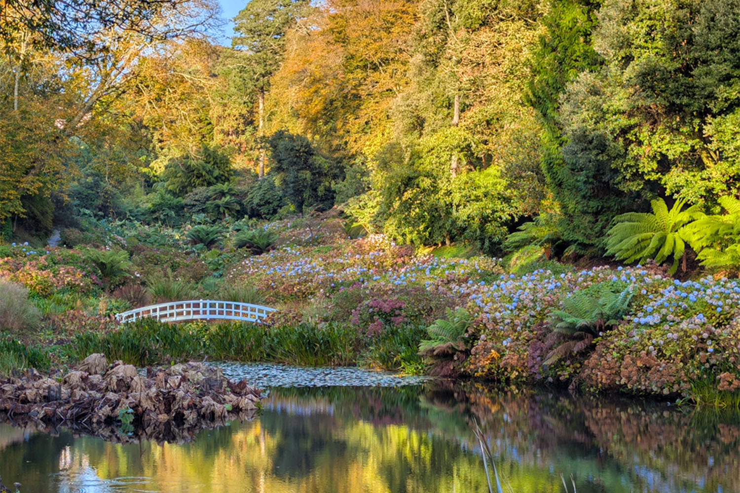 Trebah Garden in November