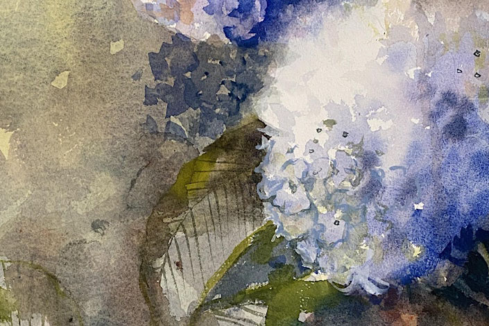 watercolour painting of a blue hydrangea and leaves