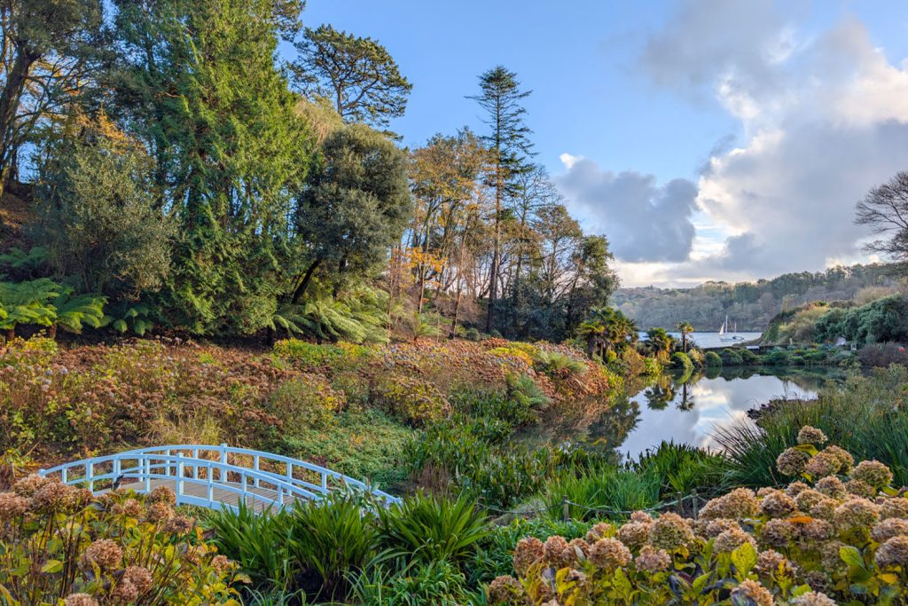 Trebah Garden in December