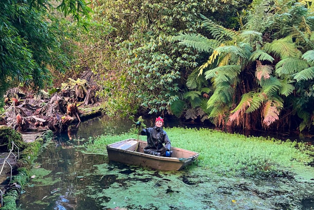 Trebah gardener wearing an elf hat in a boat on the pond
