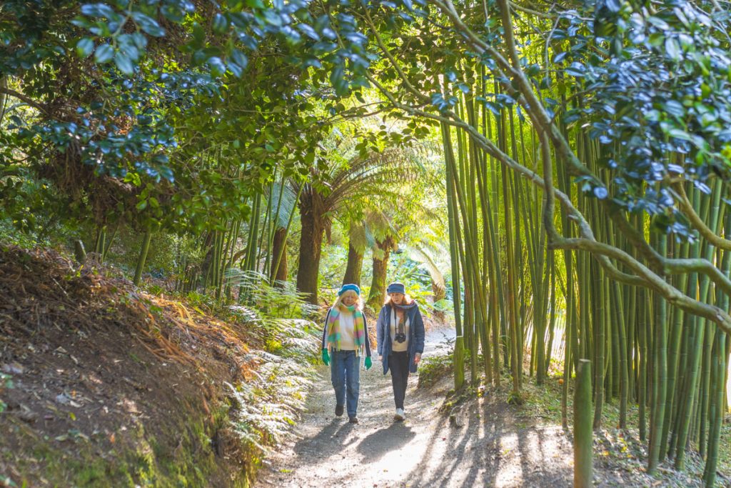 Two ladies walking through Trebah garden in winter