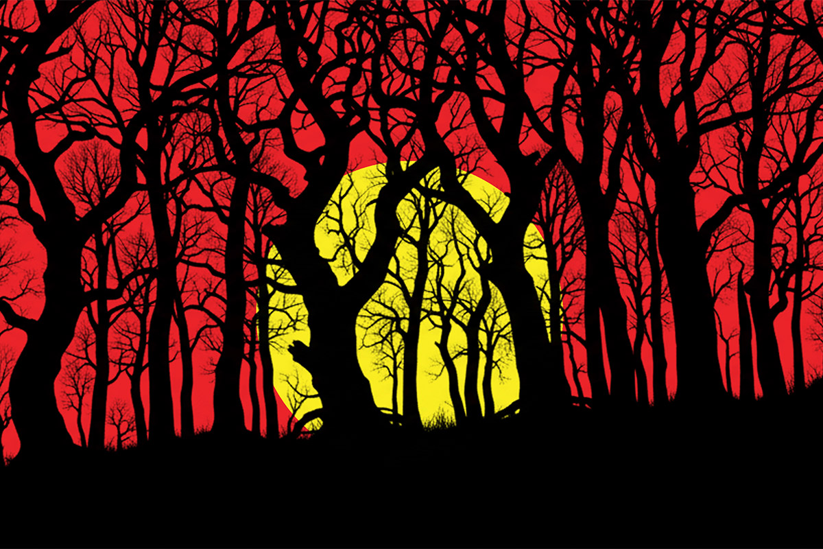 sunset behind silhouetted trees