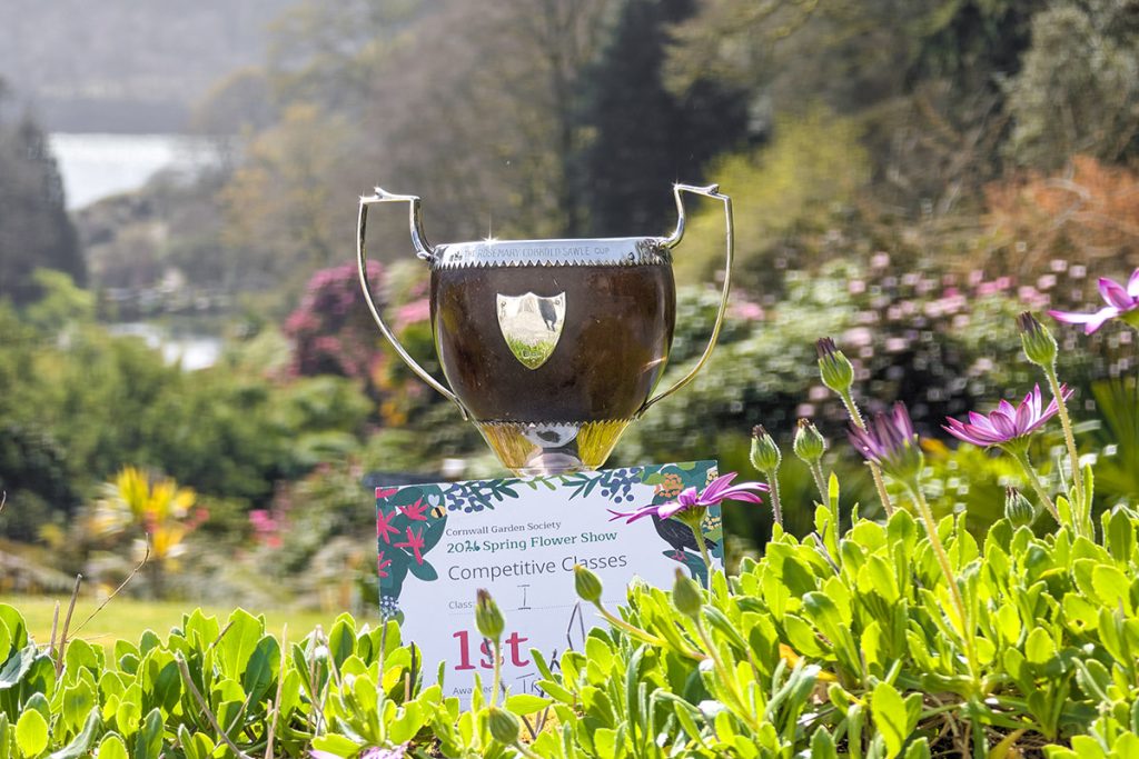 CGS flower show cup and certificate at trebah garden