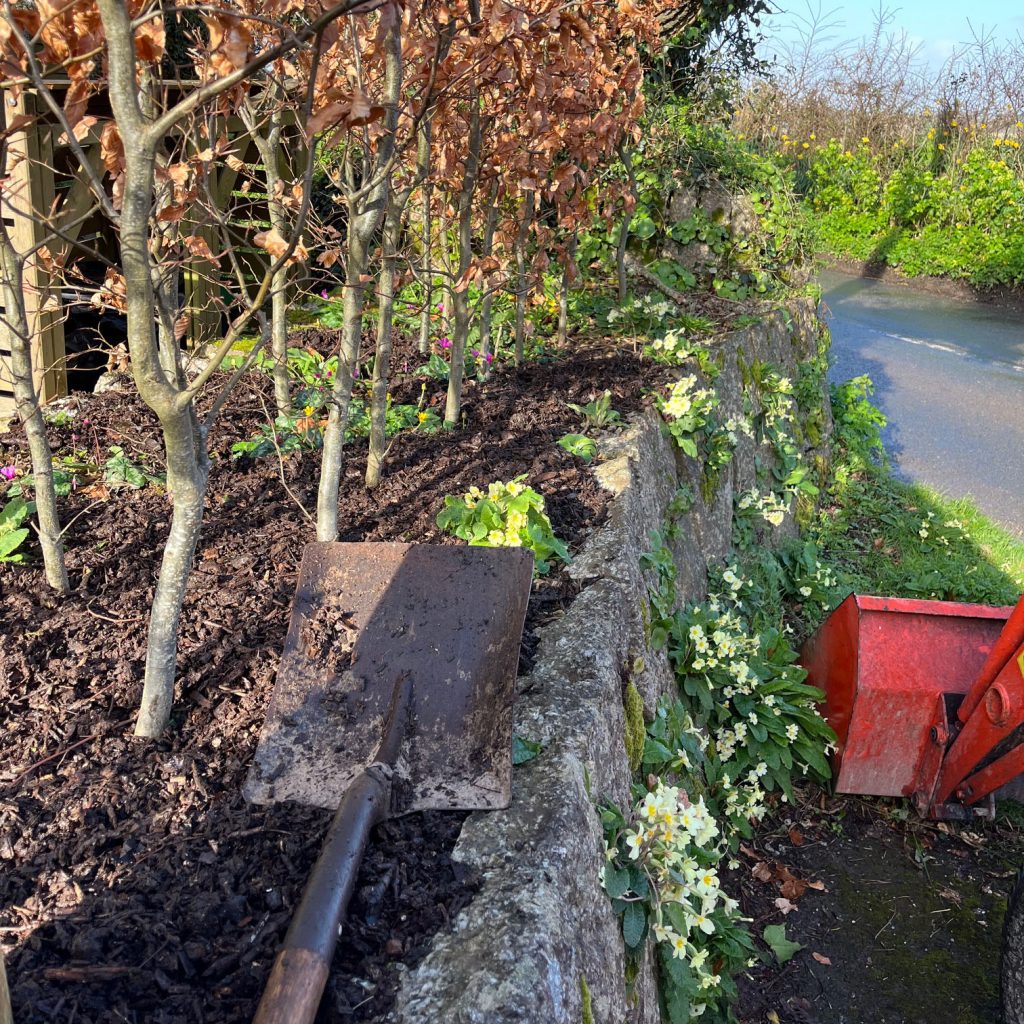 garden work at the entrance to trebah