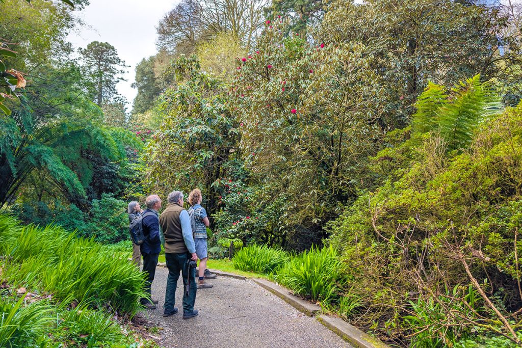 Team identifying rhododendrons in the valley