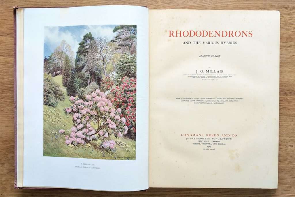 J.G. Millais Rhododendron book