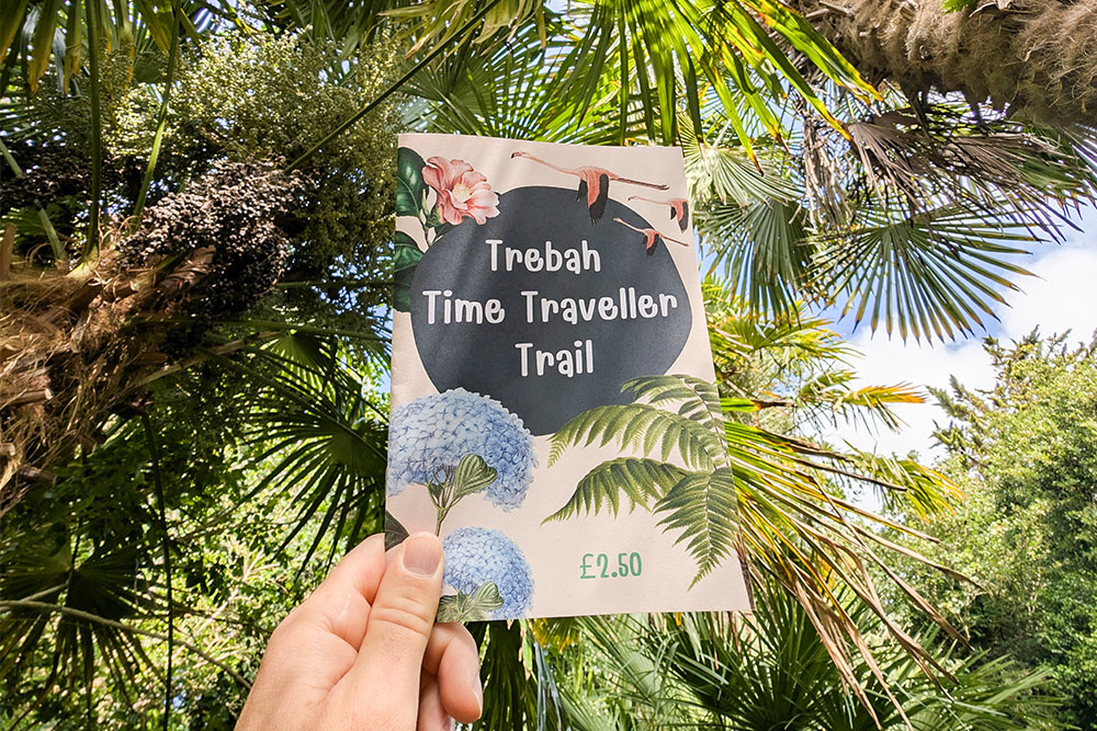 Trebah kids trail