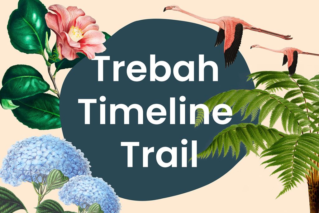 Trebah timeline trail graphic