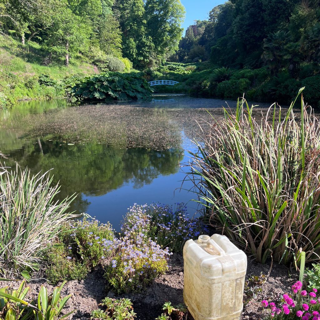 Mediterranean border at trebeah garden