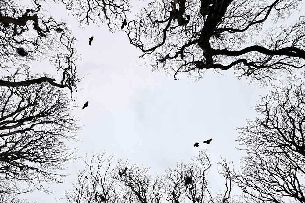 paul sanders photograph