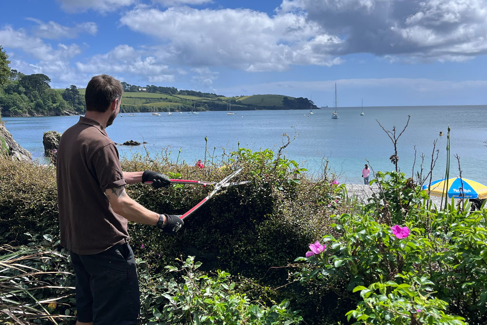 Gardener trimming hedge overlooking the sea at trebah