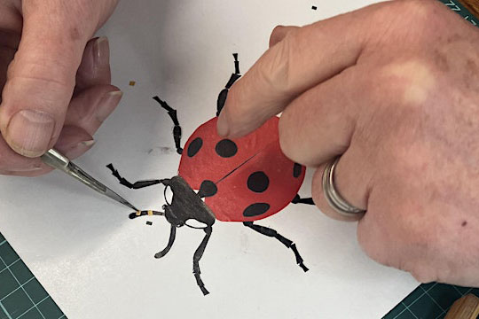 crafting insect