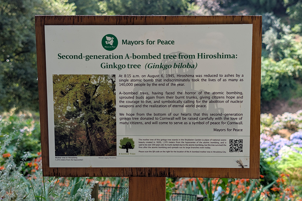 Signage for Ginko sapling at Trebah