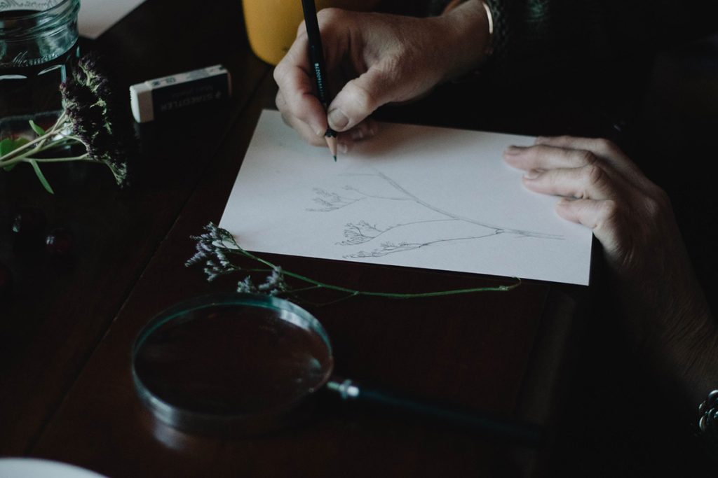 Person drawing a plant