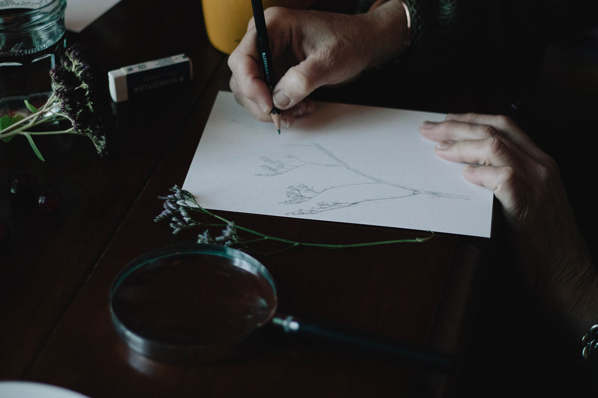 Person drawing a plant