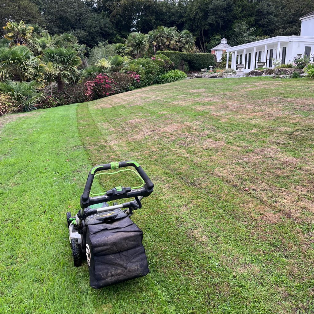 Lawn mower on the top lawn at trebah