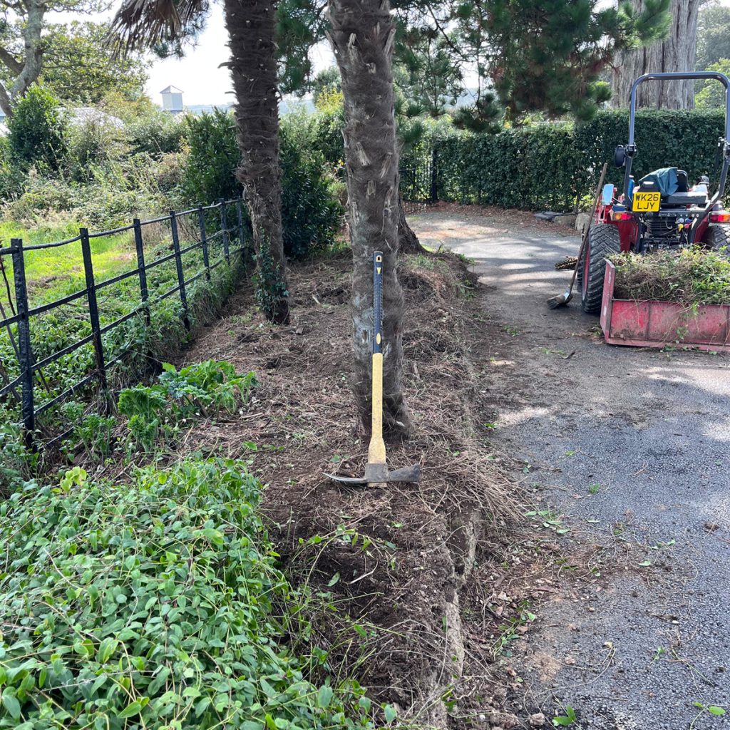 Wallking at trebah